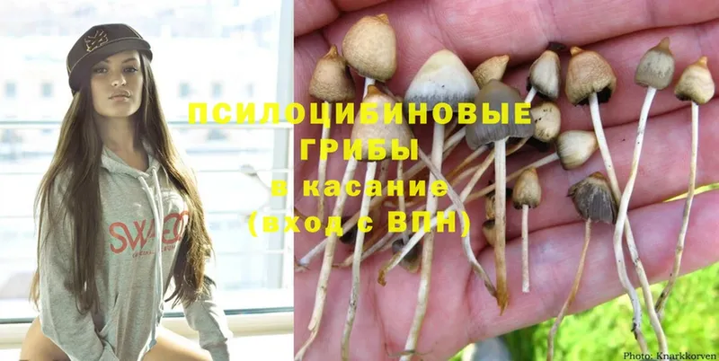 Галлюциногенные грибы Cubensis  hydra сайт  Семилуки 